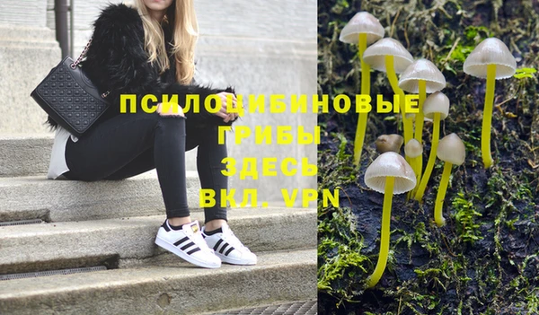 сатива Алексин
