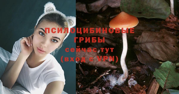 кристаллы Алзамай