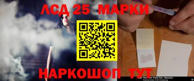 ешки Ставрополь
