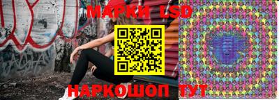ешки Ставрополь