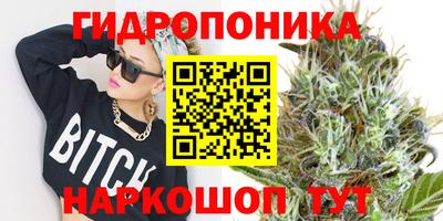 ешки Ставрополь