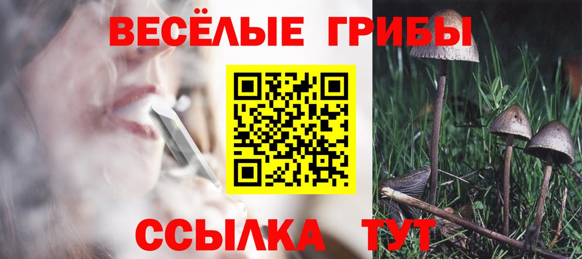 Арзамас  Псилоцибиновые грибы MAGIC MUSHROOMS  Псилоцибиновые грибы MAGIC MUSHROOMS  Вход с VPN 